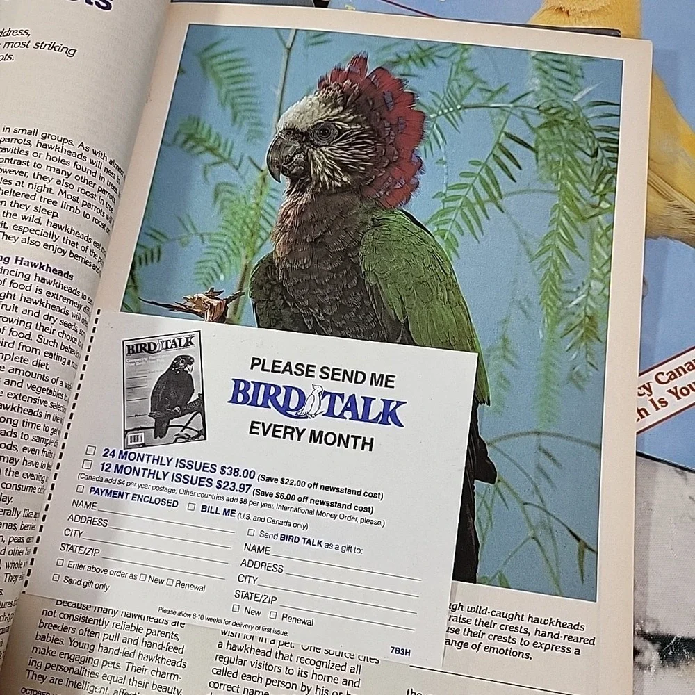 Vintage 80s Bird Talk Magazines Lot Of‎ 7 Pet Care Periodicals 1988-89